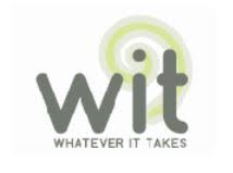 Whatever It Takes Trust (WIT)